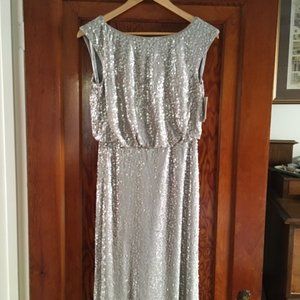 Silver Sequined Floor-Length Dress - NWT